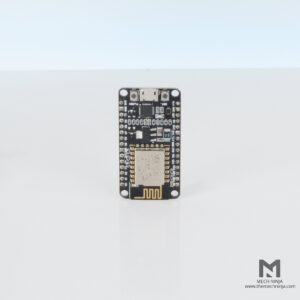 Esp 32
